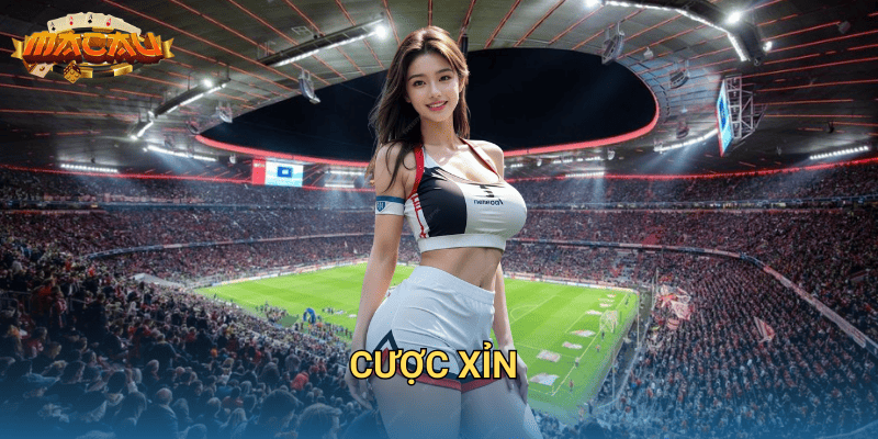 cược xỉn