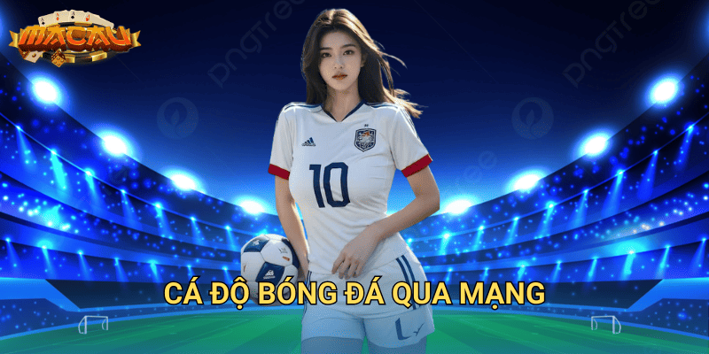 cá độ bóng đá qua mạng